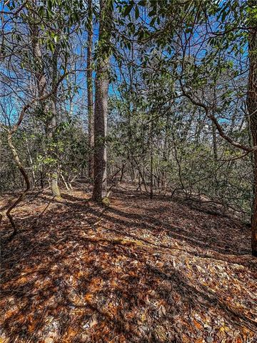 00 TS Jarrard, Dahlonega, GA 30533