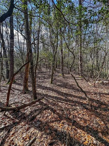 00 TS Jarrard, Dahlonega, GA 30533