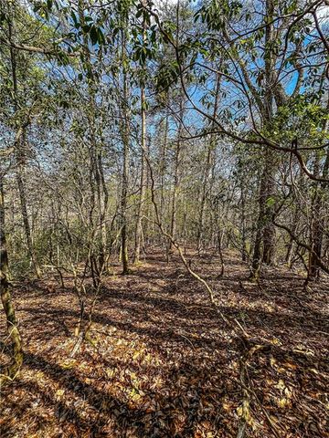 00 TS Jarrard, Dahlonega, GA 30533