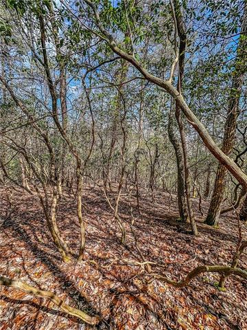 00 TS Jarrard, Dahlonega, GA 30533