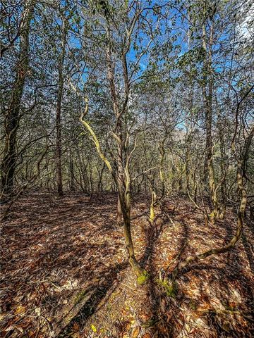 00 TS Jarrard, Dahlonega, GA 30533
