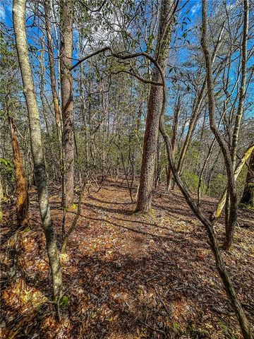 00 TS Jarrard, Dahlonega, GA 30533
