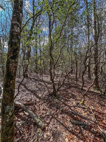 00 TS Jarrard, Dahlonega, GA 30533