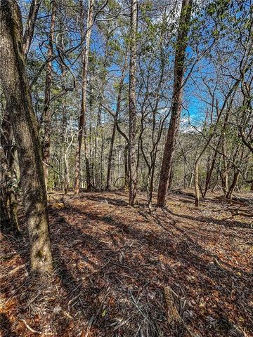 00 TS Jarrard, Dahlonega, GA 30533
