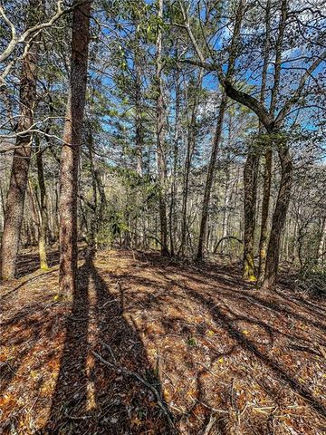 00 TS Jarrard, Dahlonega, GA 30533