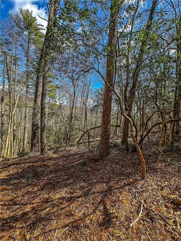 00 TS Jarrard, Dahlonega, GA 30533