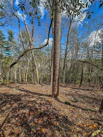 00 TS Jarrard, Dahlonega, GA 30533