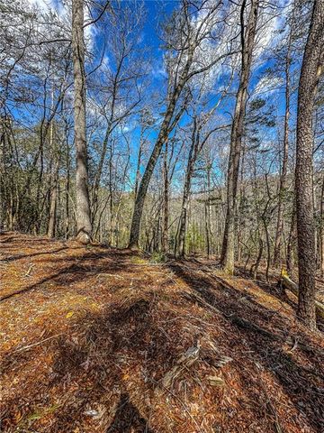 00 TS Jarrard, Dahlonega, GA 30533