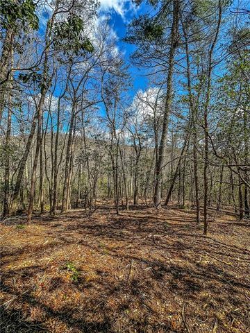 00 TS Jarrard, Dahlonega, GA 30533
