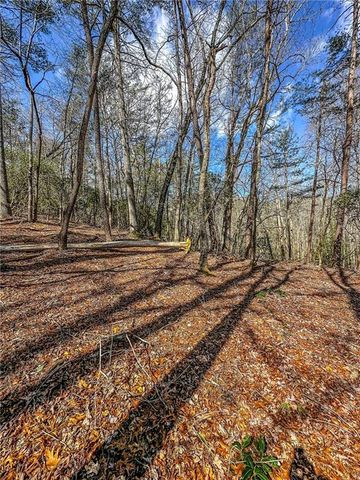 00 TS Jarrard, Dahlonega, GA 30533