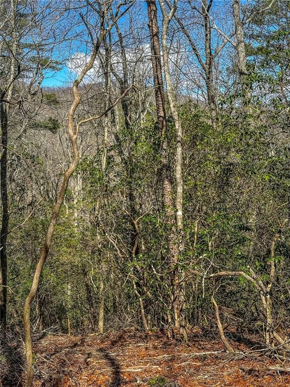 00 TS Jarrard, Dahlonega, GA 30533
