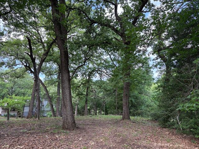 L 18 Stillwater Drive, Streetman, TX 75859