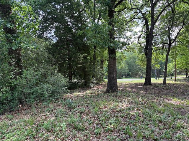 L 18 Stillwater Drive, Streetman, TX 75859