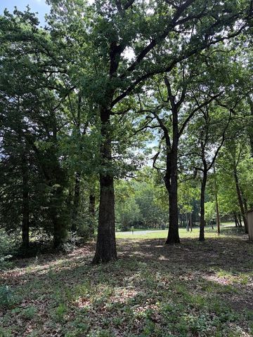 L 18 Stillwater Drive, Streetman, TX 75859