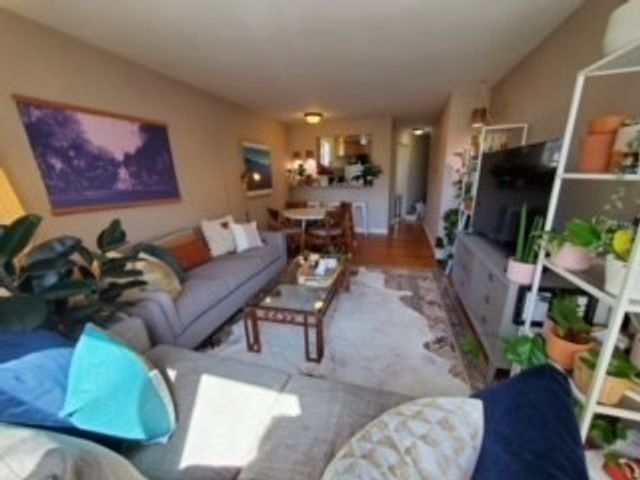 34 Babcock St. 403, Brookline, MA 02446