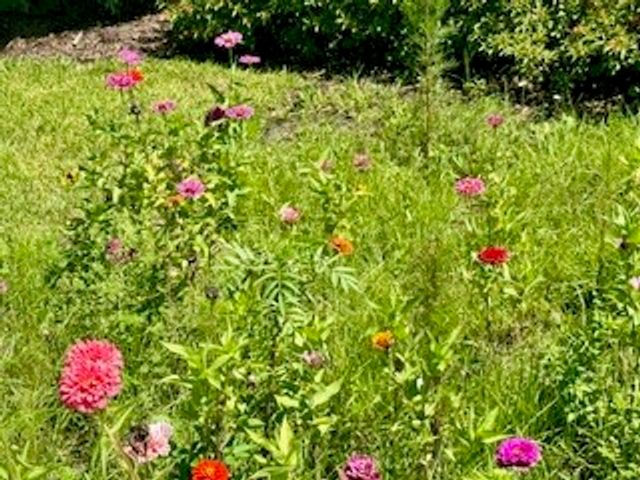 80 White Pelican Lane, Sebastian, FL 32958