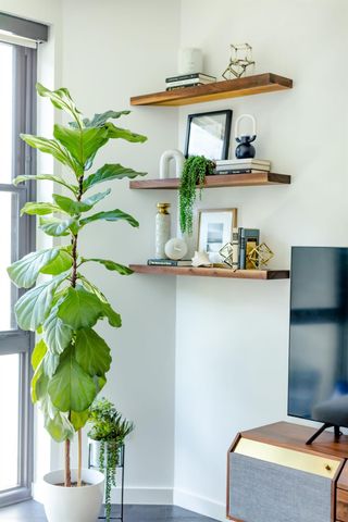 800 Embassy DR 411, Austin, TX 78702