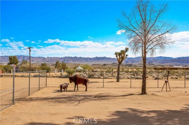 3040 Colabgo, Joshua Tree, CA 92252