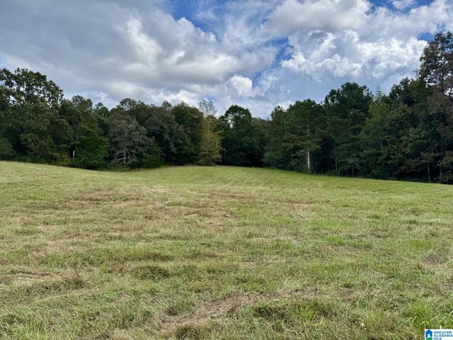 0 HIGHWAY 48, Lineville, AL 36266