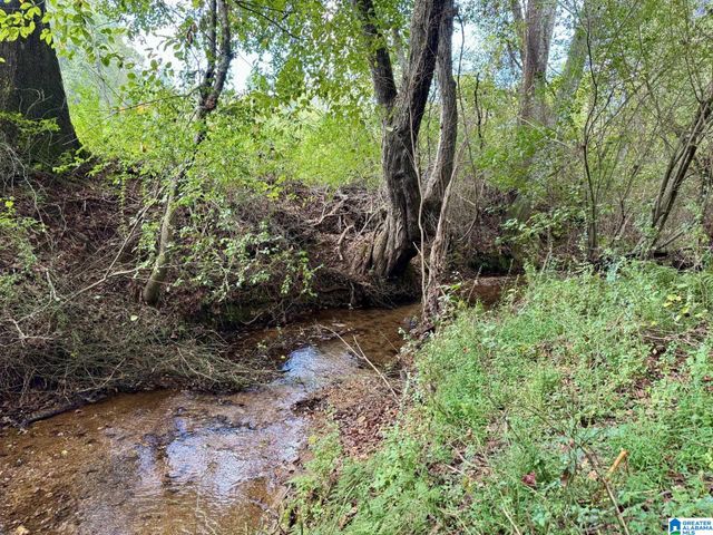 0 HIGHWAY 48, Lineville, AL 36266