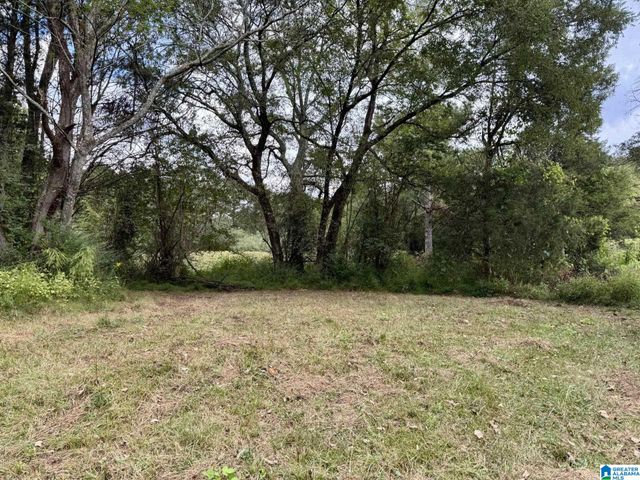 0 HIGHWAY 48, Lineville, AL 36266