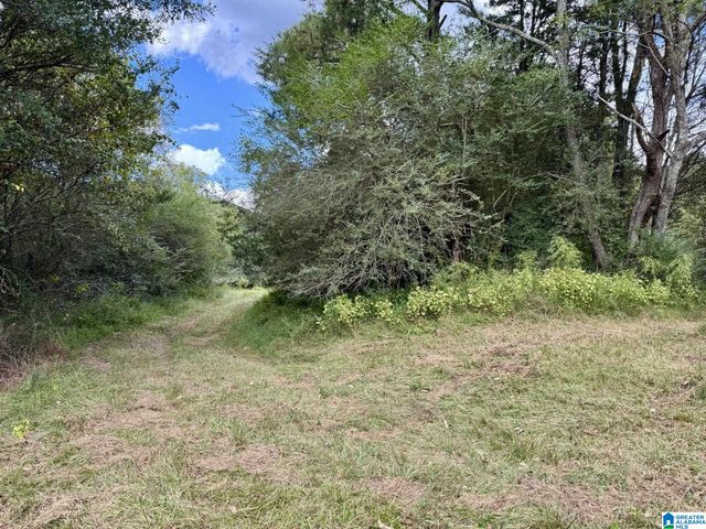 0 HIGHWAY 48, Lineville, AL 36266