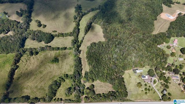 0 HIGHWAY 48, Lineville, AL 36266