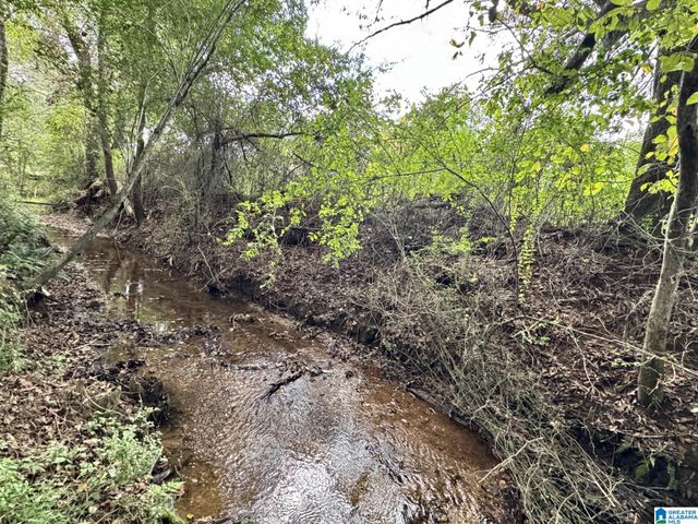 0 HIGHWAY 48, Lineville, AL 36266