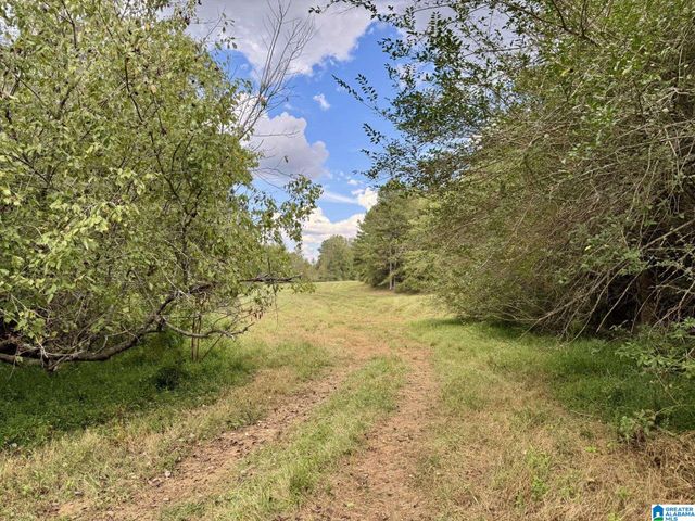 0 HIGHWAY 48, Lineville, AL 36266