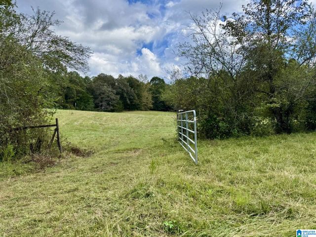 0 HIGHWAY 48, Lineville, AL 36266