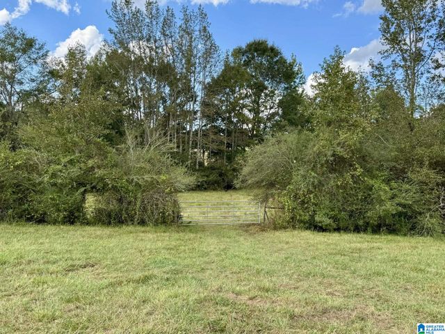 0 HIGHWAY 48, Lineville, AL 36266