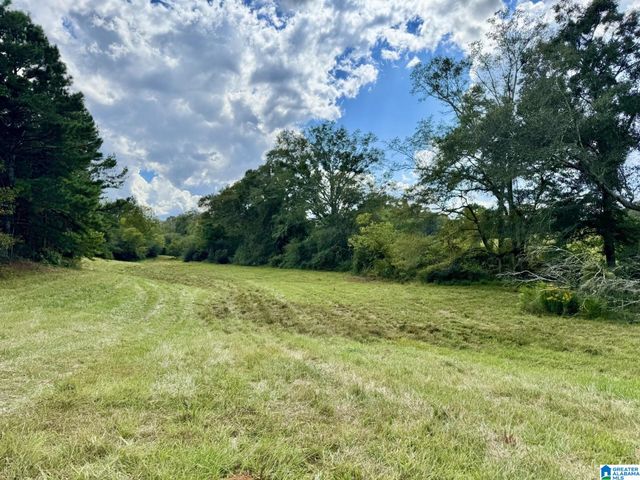 0 HIGHWAY 48, Lineville, AL 36266