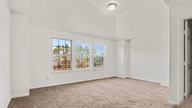 15834 Colonial Bridge Lane, Houston, TX 77073