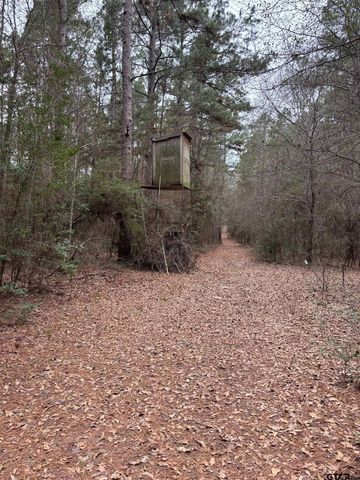 TBD CR 4120, Crockett, TX 75835
