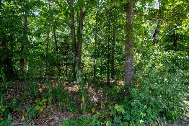 14600 Canyon Road, Bella Vista, AR 72715