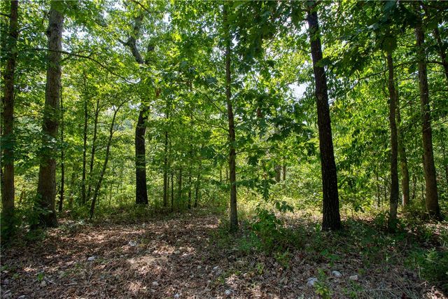 14600 Canyon Road, Bella Vista, AR 72715