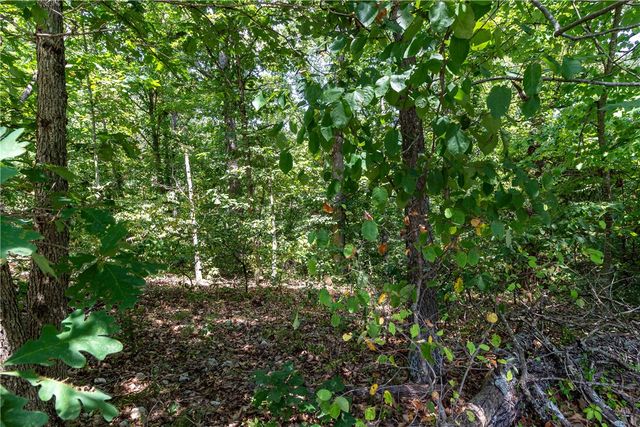 14600 Canyon Road, Bella Vista, AR 72715