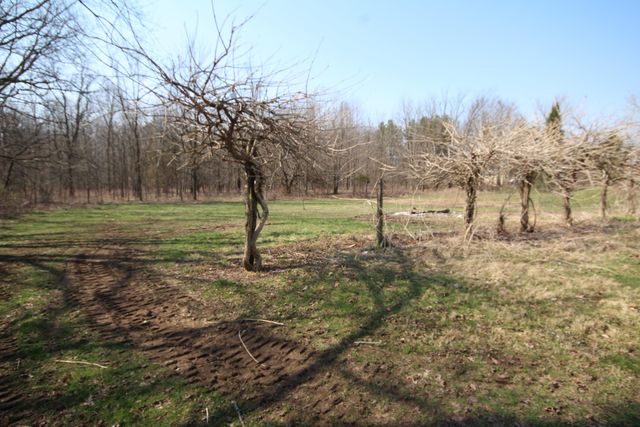 11888 S 42nd Street S, Wakeshma Twp, MI 49088