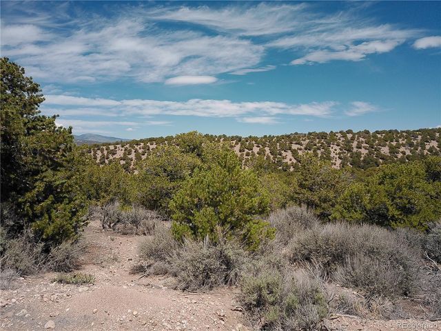 Andrus Road, Fort Garland, CO 81132
