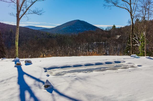276 Wilcox Hollow Road, Sandgate, VT 05250