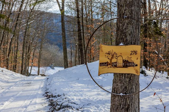 276 Wilcox Hollow Road, Sandgate, VT 05250