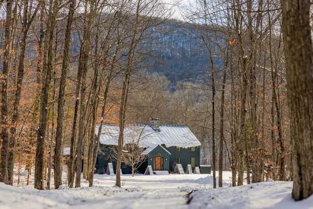 276 Wilcox Hollow Road, Sandgate, VT 05250