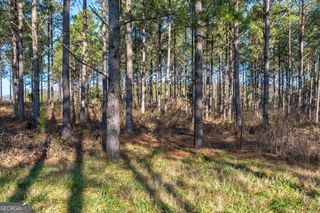 0 Hwy 77, Lexington, GA 30648