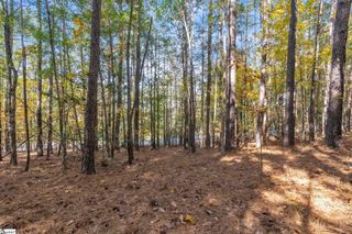 Lot 202 Shorewinds Court, Seneca, SC 29672