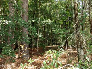 Lot 29 Beech Drive, Westville, FL 32464