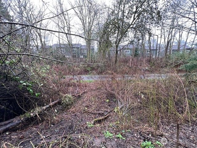 4053 NE 55th Street, Seattle, WA 98105