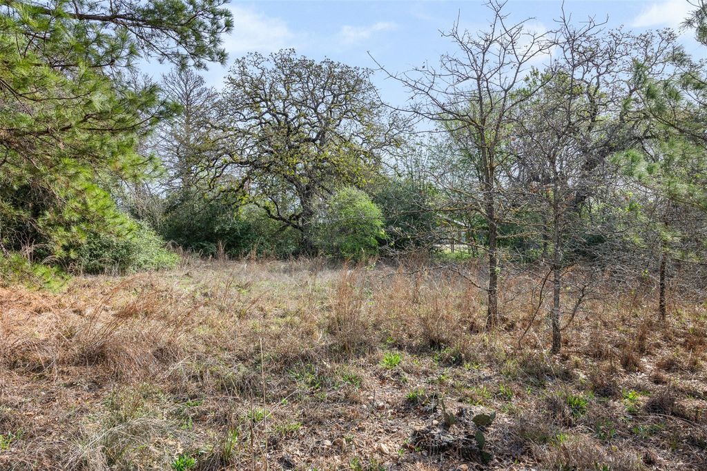 LOT 1 Indian Oak DR, Bastrop, TX 78602