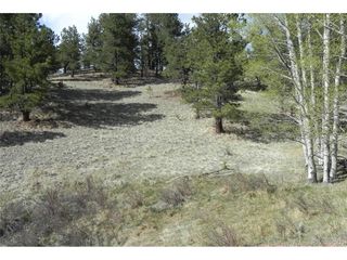 1699 Monarch Dr, Cripple Creek, CO 80813