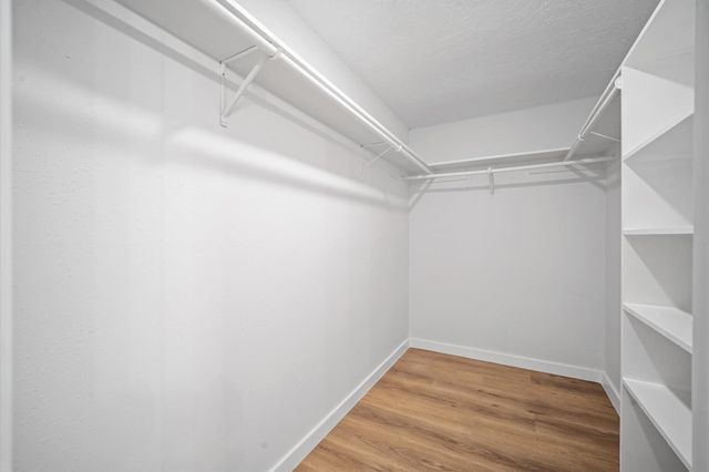 4419 Pineville Lane, Spring, TX 77388