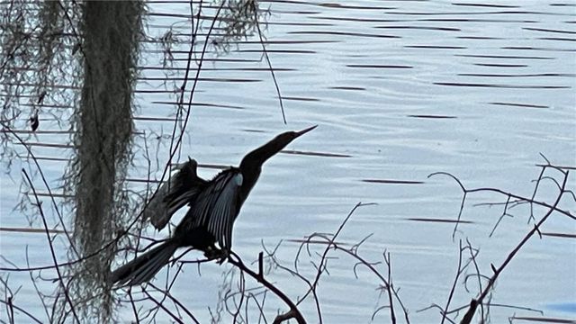 2708 SW 14TH DRIVE 220, Gainesville, FL 32608